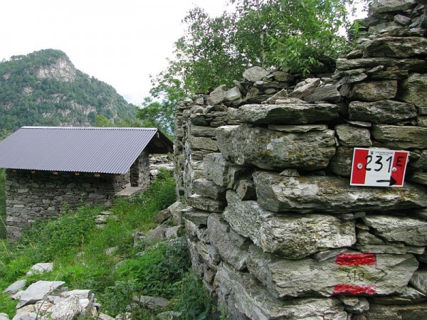 Sentiero Raccordo tra i sentieri 231 e 232 all'Alpe Sella di Bedino 