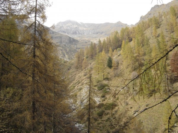Sentiero Alpe Cascivere di Sopra   