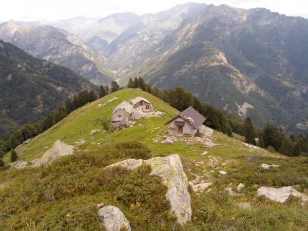Sentiero Alpe Piano d'Ales (Sella delle Piode Nere)